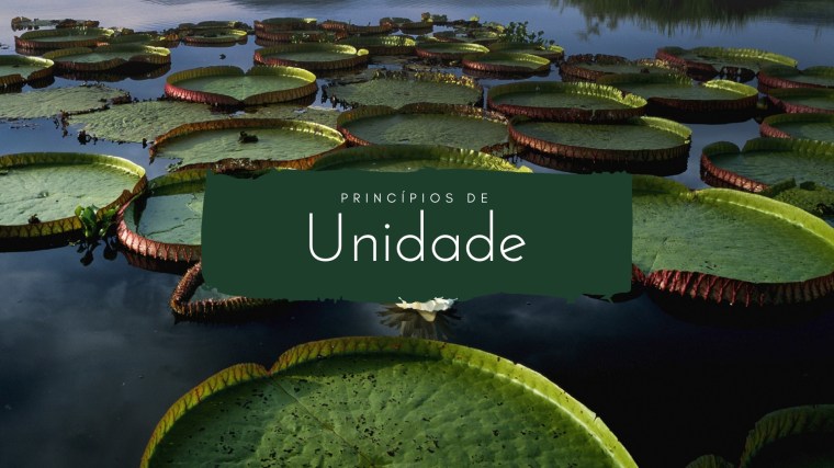 Princípios de Unidade