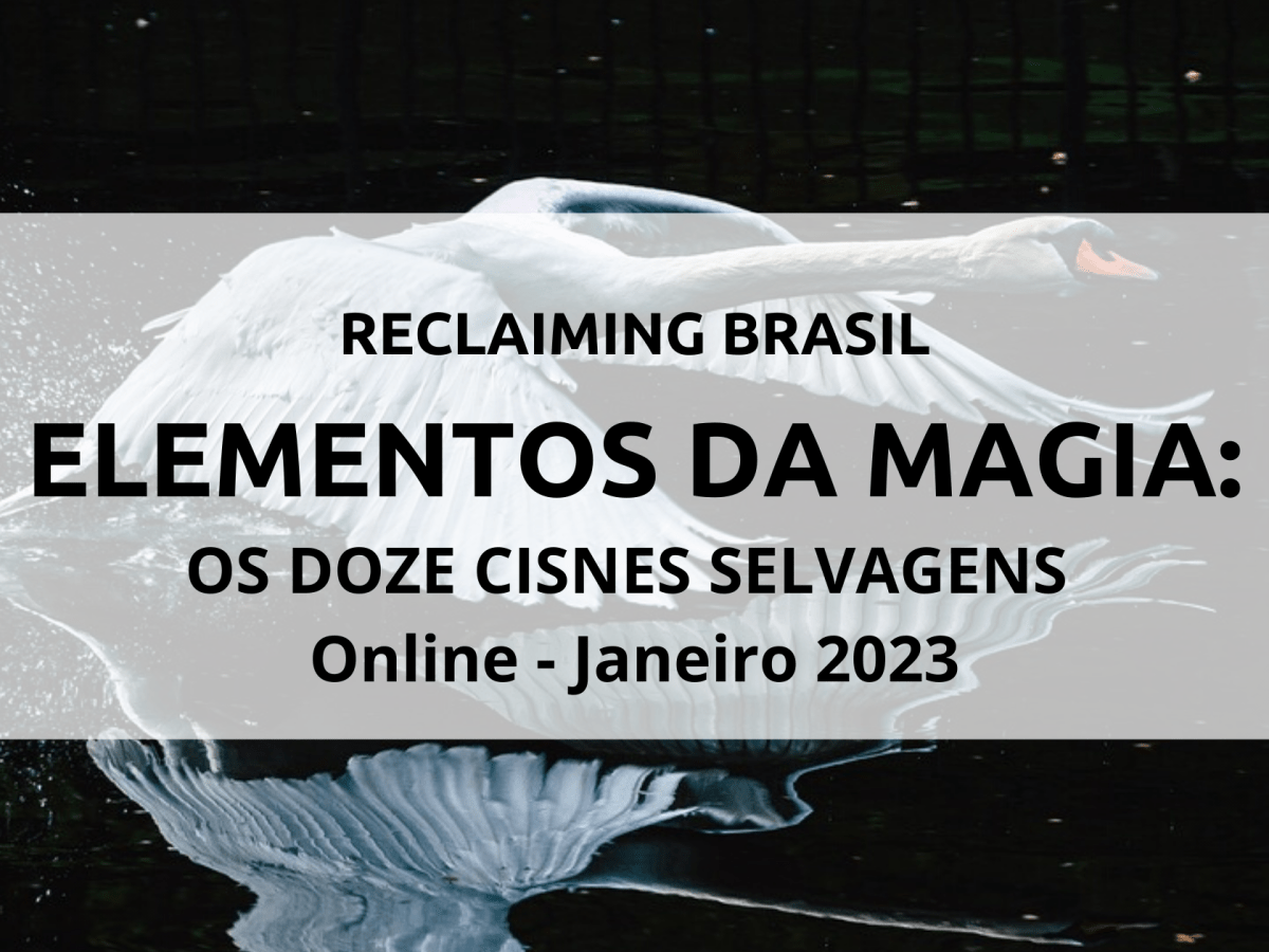 Elementos da Magia: os Doze Cisnes Selvagens (core class online&nbsp;2023)